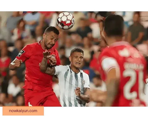 波尔图队本赛季联赛表现稳健，积分榜位居前列